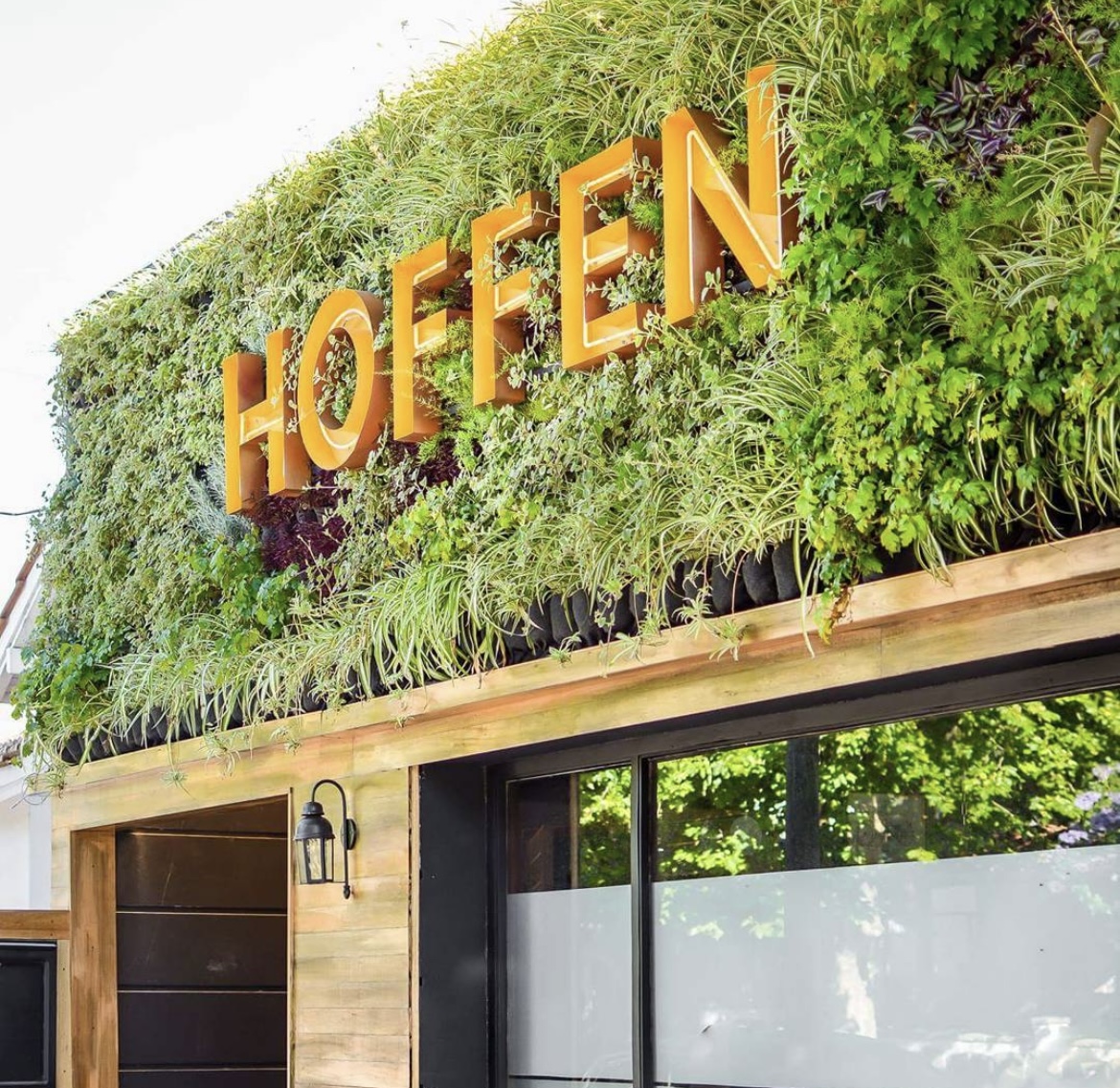 Hoffen
