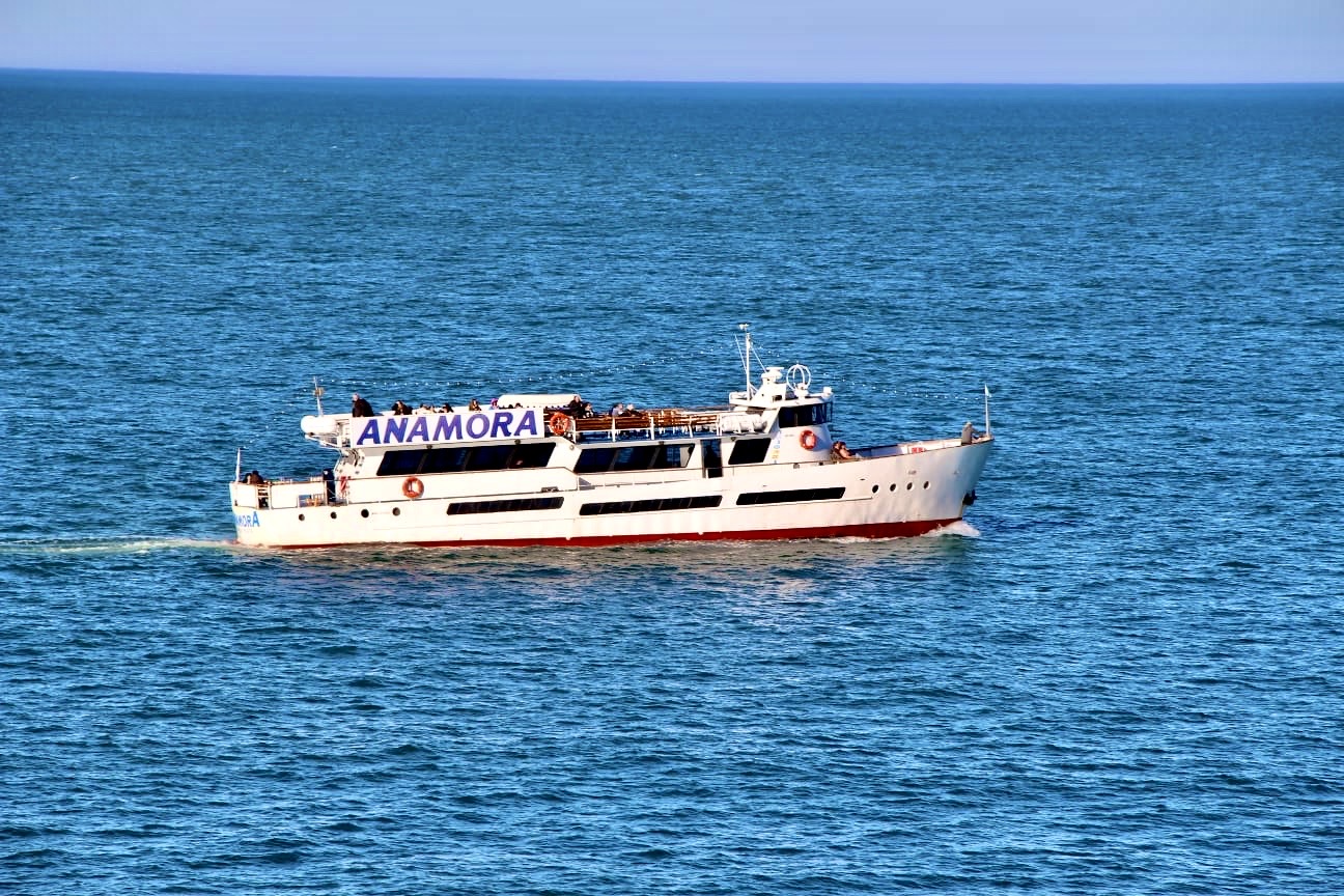 Anamora
