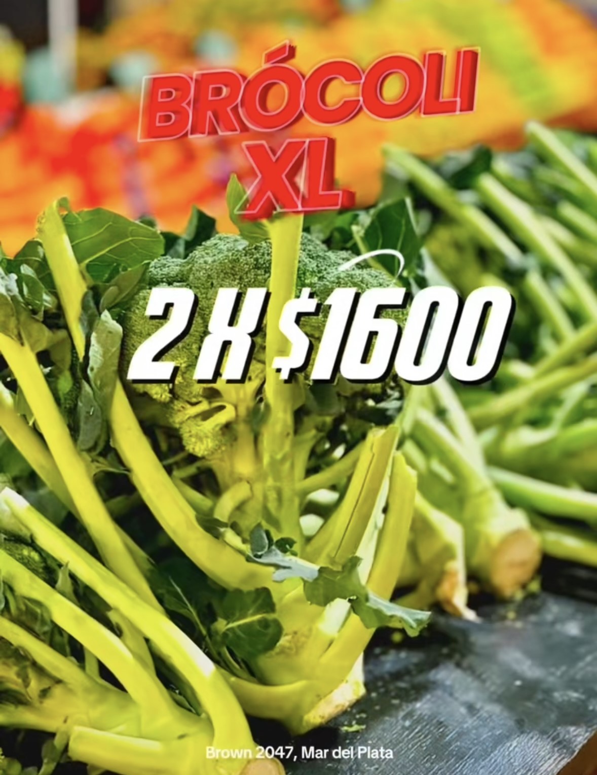 Oferta